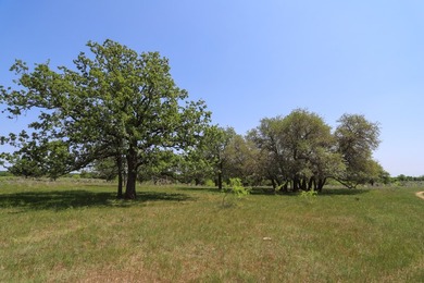 533 Acres Coryell County, Central Texas Located in the heart of - photo 15