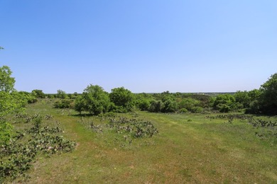 533 Acres Coryell County, Central Texas Located in the heart of - photo 18