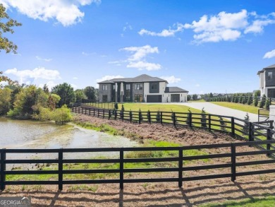 (private lake, pond, creek) Home For Sale in Dacula Georgia