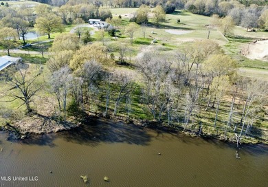 1165 North Ratliff Road Lot 26 Tinnin Estates 4.21 Acreage Lot - photo 4