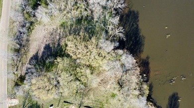 1165 North Ratliff Road Lot 26 Tinnin Estates 4.21 Acreage Lot - photo 6