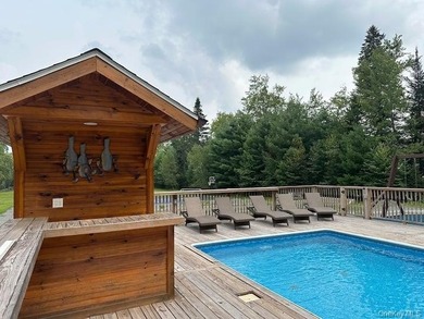 **Turnkey Catskills Retreat & Proven Income-Producing - photo 6