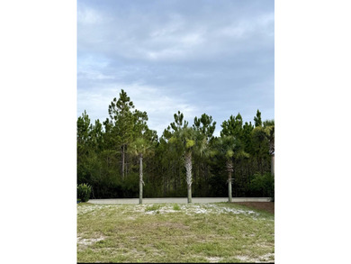 Build Your Beach Home Just Minutes from the Emerald Coast - photo 4