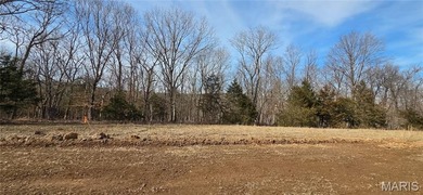 (private lake, pond, coastal) Acreage For Sale in Festus Missouri