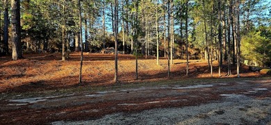 Lake Sam Rayburn  Lot For Sale in Brookeland Texas