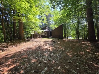Rustic 1923 Adirondack Camp with Bonus Acreage & Building - photo 3