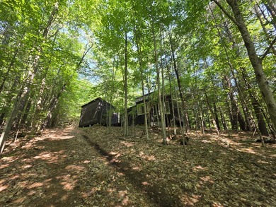 Rustic 1923 Adirondack Camp with Bonus Acreage & Building - photo 4