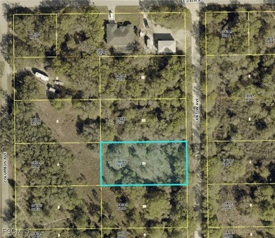 Lehigh Acres Area Lot For Sale in Lehigh Acres Florida