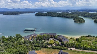 Experience Lakefront Living at Harbor Crest on Douglas Lake! - photo 3