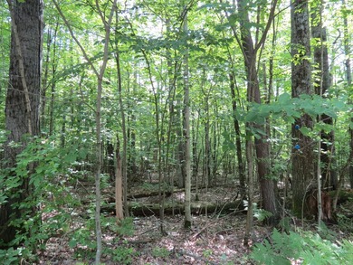 Discover the perfect setting for your Adirondack home or - photo 1
