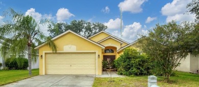 (private lake, pond, creek) Home For Sale in Brandon Florida