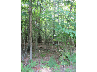 Discover the perfect setting for your Adirondack home or - photo 2
