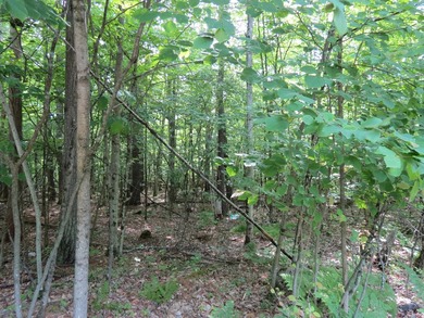 Discover the perfect setting for your Adirondack home or - photo 3