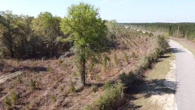 5.13 ac - Georgetown, SC Looking for a quiet place in the - photo 3