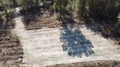 5.13 ac - Georgetown, SC Looking for a quiet place in the - photo 5