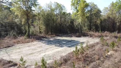 5.13 ac - Georgetown, SC Looking for a quiet place in the - photo 6