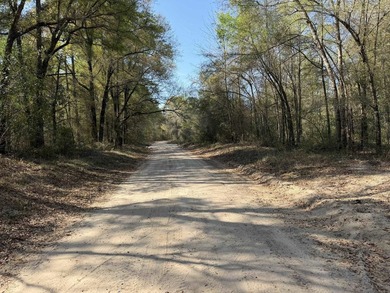 5.13 ac - Georgetown, SC Looking for a quiet place in the - photo 9