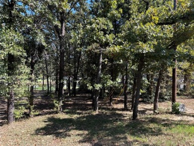 Lake Lot For Sale in Eustace, Texas