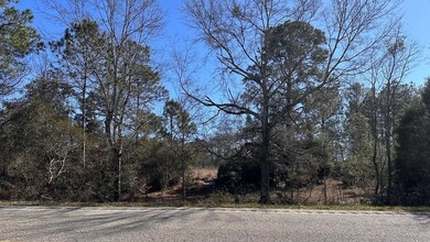 (private lake, pond, coastal) Lot For Sale in Samson Alabama