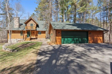 Lake Home For Sale in Ideal Twp, Minnesota