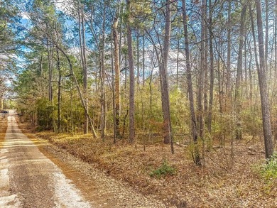 Lake Sam Rayburn  Lot For Sale in Zavalla Texas