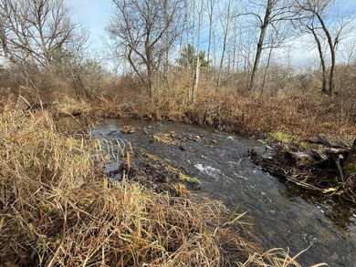 (private lake, pond, coastal) Acreage For Sale in Dryden New York