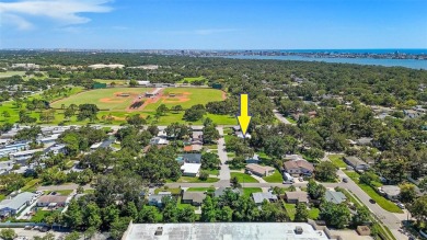 (private lake, pond, creek) Home For Sale in St. Petersburg Florida