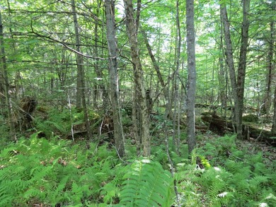Build your Adirondack dream home or year-round getaway on this - photo 2