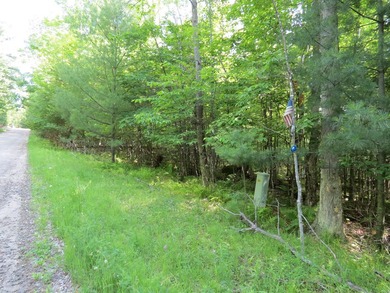 Build your Adirondack dream home or year-round getaway on this - photo 4