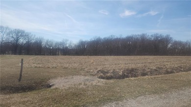 Your Lake Viking escape is waiting! This 1/3-acre vacant lot - photo 2