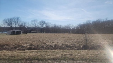 Your Lake Viking escape is waiting! This 1/3-acre vacant lot - photo 3