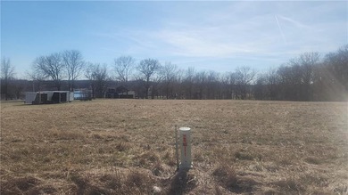 Your Lake Viking escape is waiting! This 1/3-acre vacant lot - photo 4
