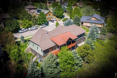Luxury riverfront home on the Roaring Fork River in Glenwood - photo 12