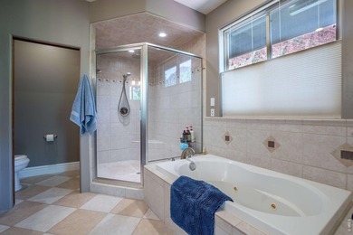 Luxury riverfront home on the Roaring Fork River in Glenwood - photo 28