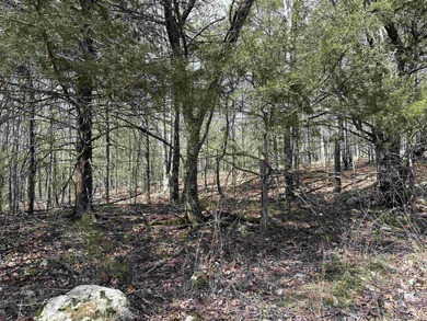 White River Acreage For Sale in Flippin Arkansas