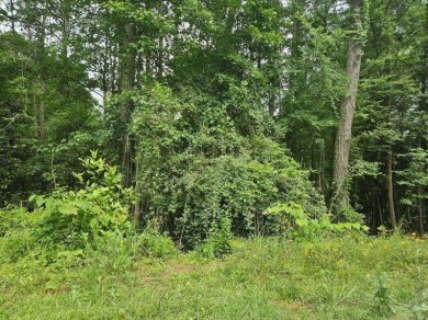 Lake Lot For Sale in Conyers, Georgia
