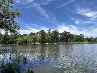 Lake Palestine Lot For Sale in Frankston Texas