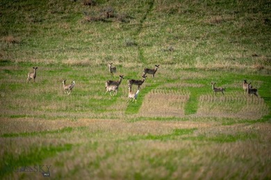 Opportunity awaits in the famed Paradise Valley of Livingston - photo 5
