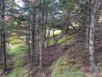 Opportunity awaits in the famed Paradise Valley of Livingston - photo 9