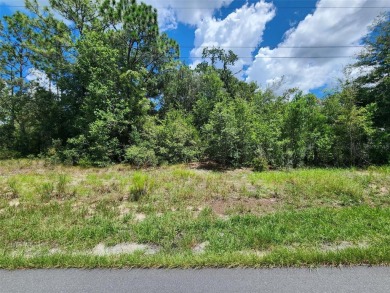 Lake Lot For Sale in Dunnellon, Florida