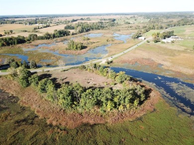 Lake Acreage For Sale in Brooklyn, Michigan