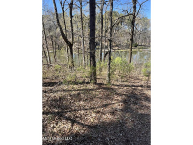 Lake Lot For Sale in Hernando, Mississippi