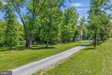Enjoy breathtaking river views from your own treetop retreat - photo 5