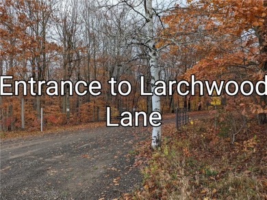 Larchwood Lake Acreage For Sale in Laurens New York
