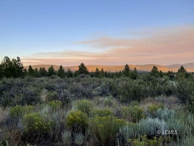 Very attractive, large .97 acre parcel with extremely beautiful - photo 4