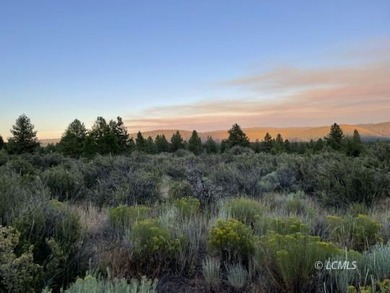 Very attractive, large .97 acre parcel with extremely beautiful - photo 5