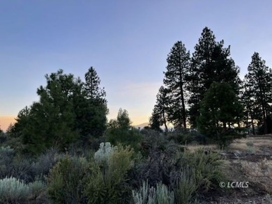 Very attractive, large .97 acre parcel with extremely beautiful - photo 10