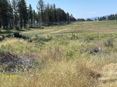Very attractive triangular-shaped corner parcel. Has large pine - photo 2