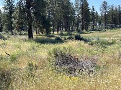 Very attractive triangular-shaped corner parcel. Has large pine - photo 3