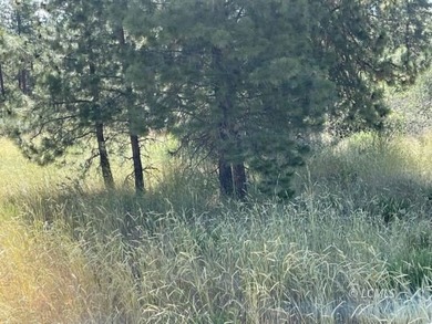 Very attractive triangular-shaped corner parcel. Has large pine - photo 7